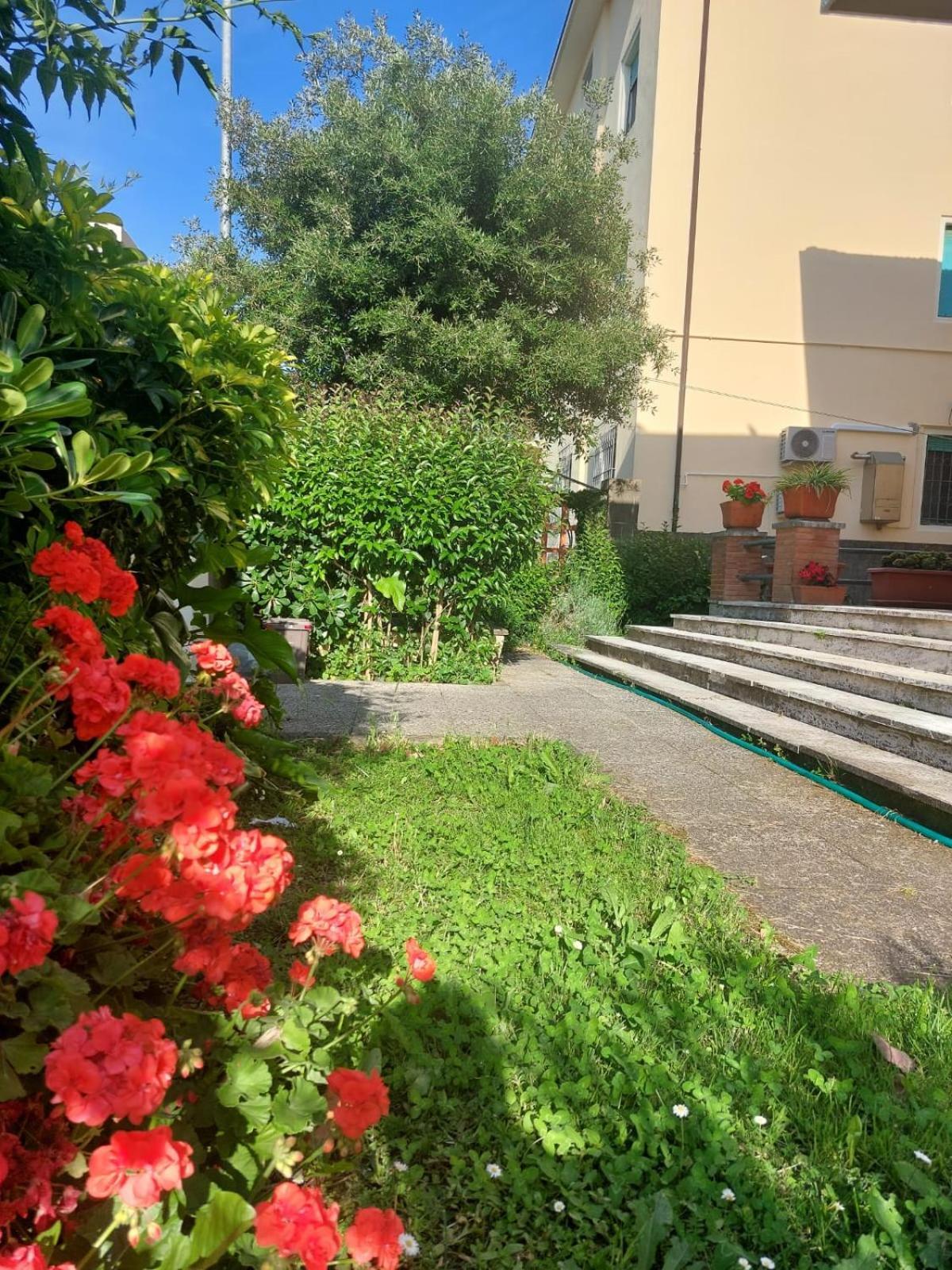 Villa Mehari Pisa Ngoại thất bức ảnh