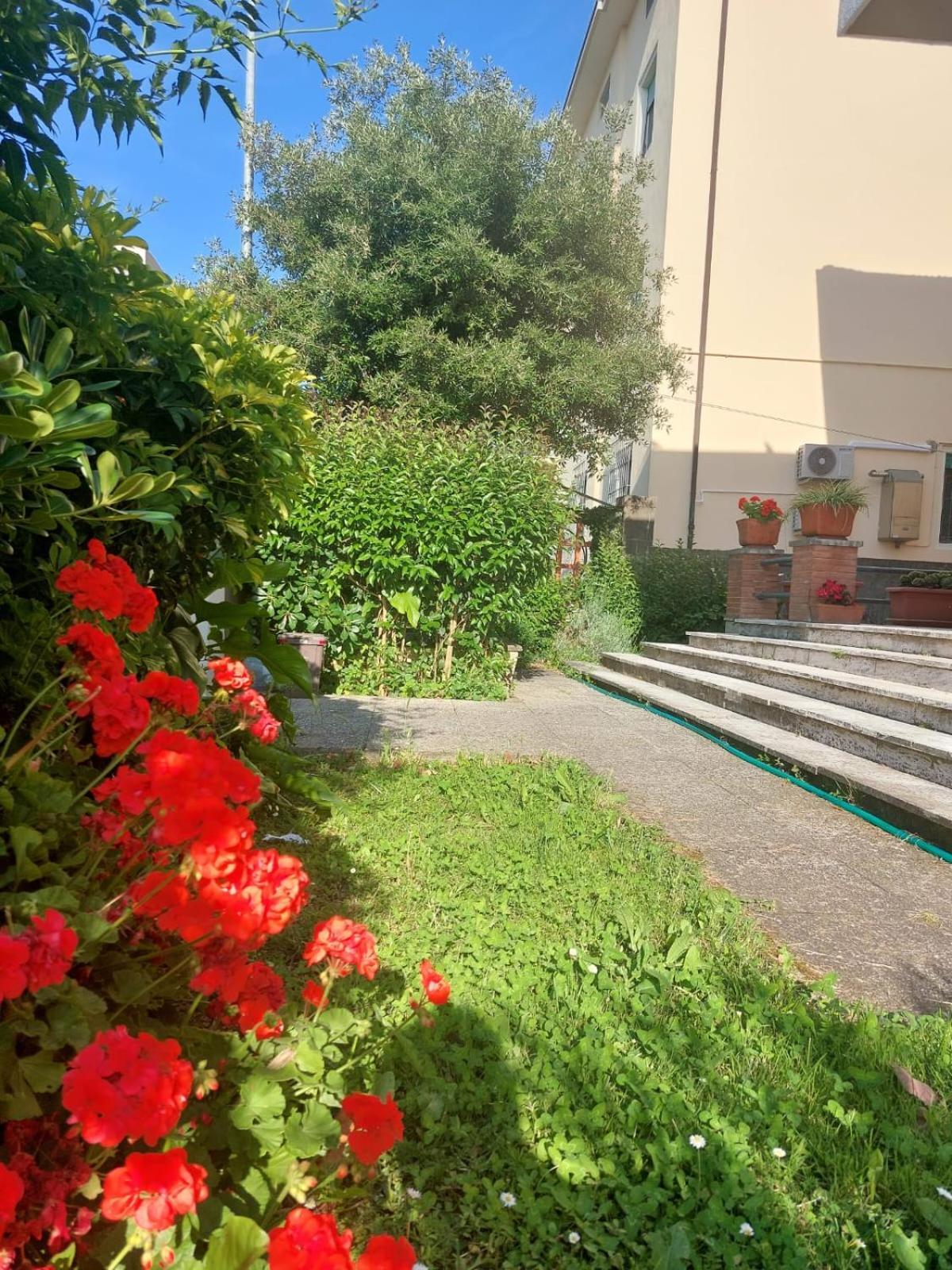 Villa Mehari Pisa Ngoại thất bức ảnh